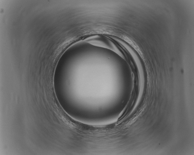 X0000074210481200609011155
