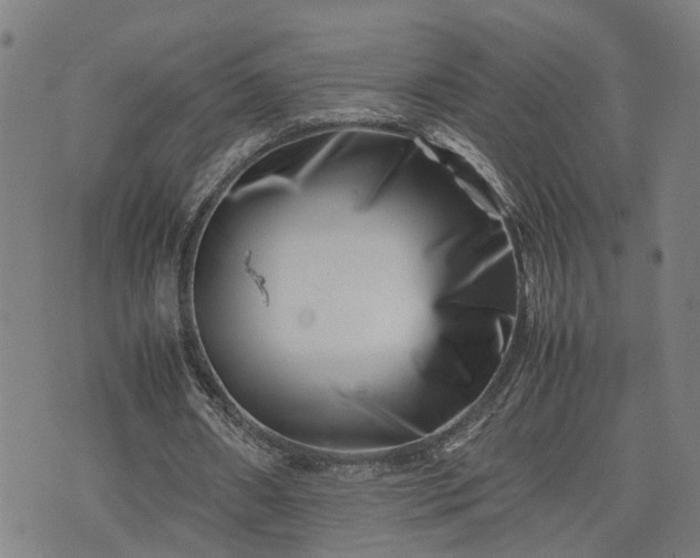 X0000074210482200609011155
