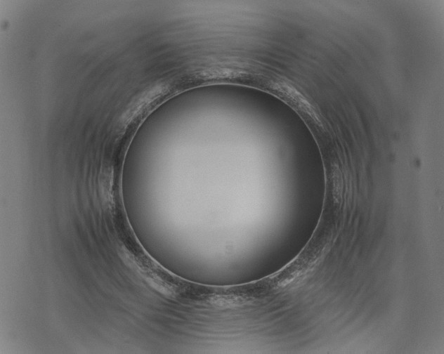 X0000074210490200609011155