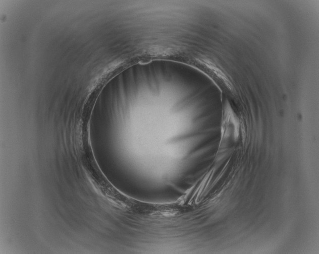 X0000074210492200609011155
