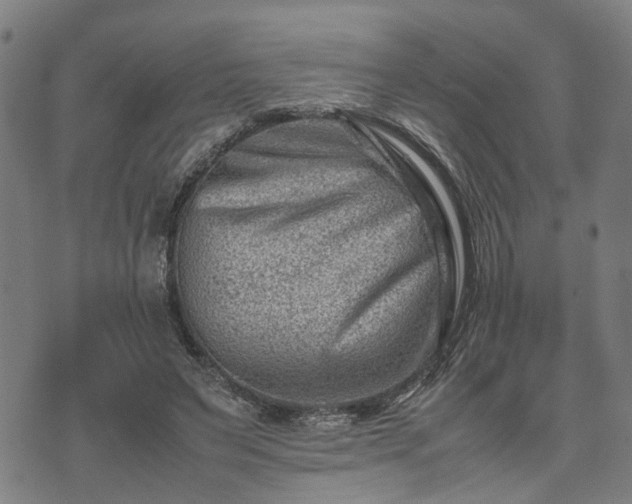 X0000074210495200609011155