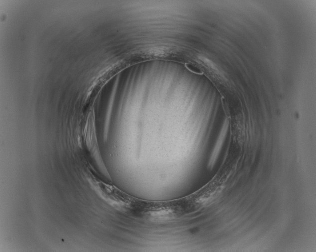X0000074210500200609011155