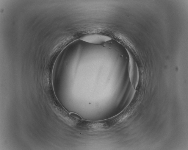 X0000074210501200609011155