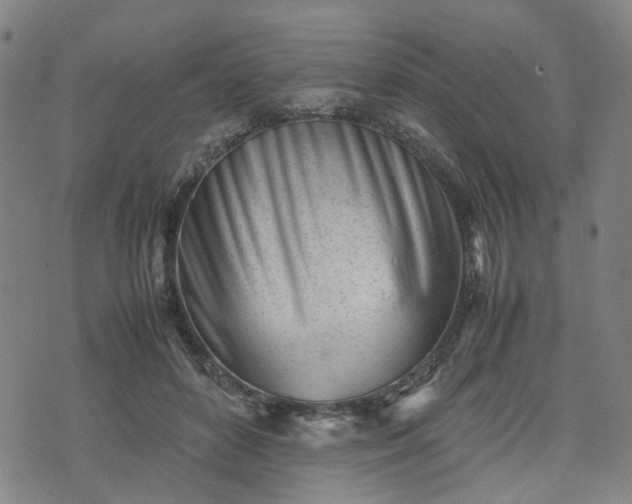 X0000074210504200609011155