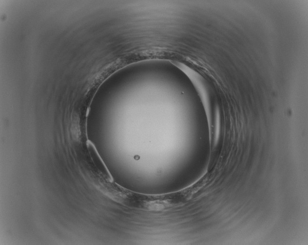 X0000074210508200609011155