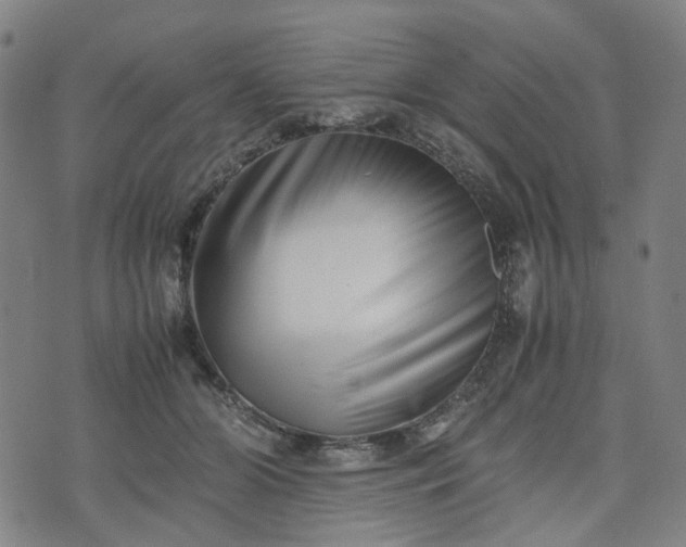 X0000074210510200609011155