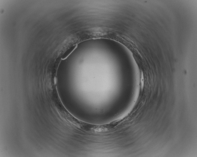 X0000074210512200609011155