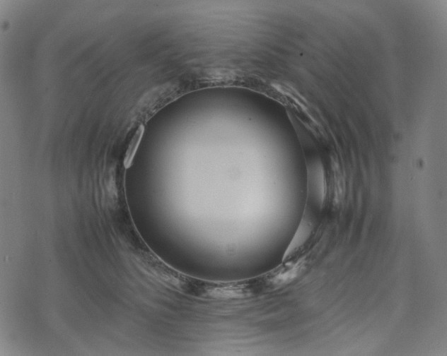 X0000074210516200609011155