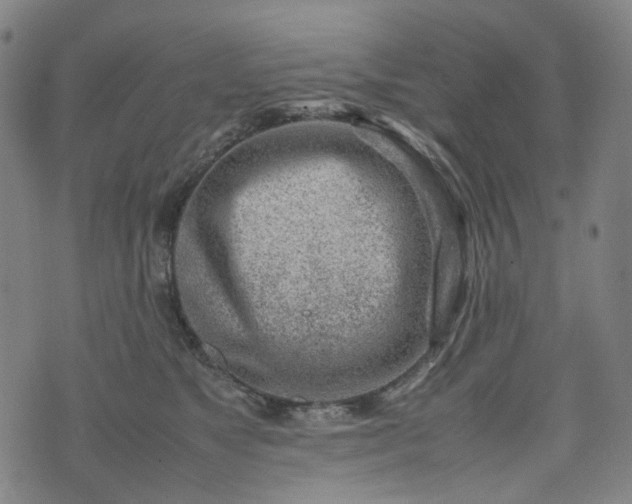 X0000074210517200609011155