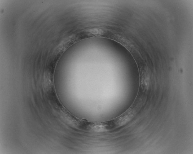 X0000074210518200609011155