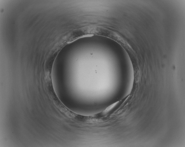 X0000074210521200609011155