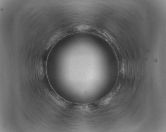 X0000074210524200609011155