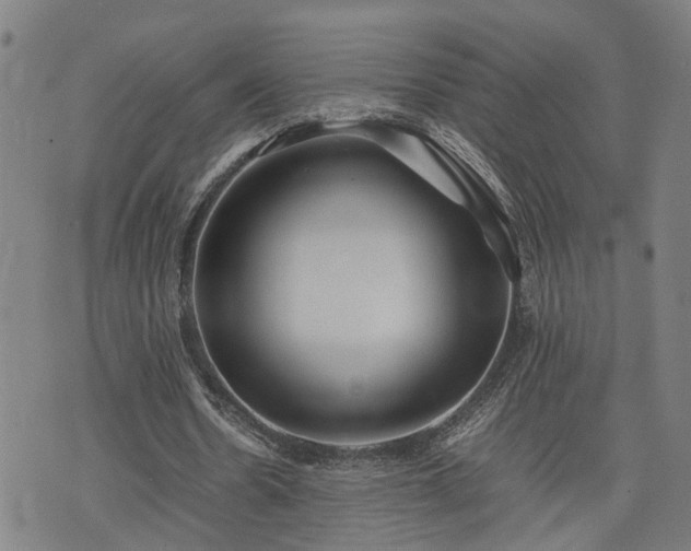 X0000074210530200609011154