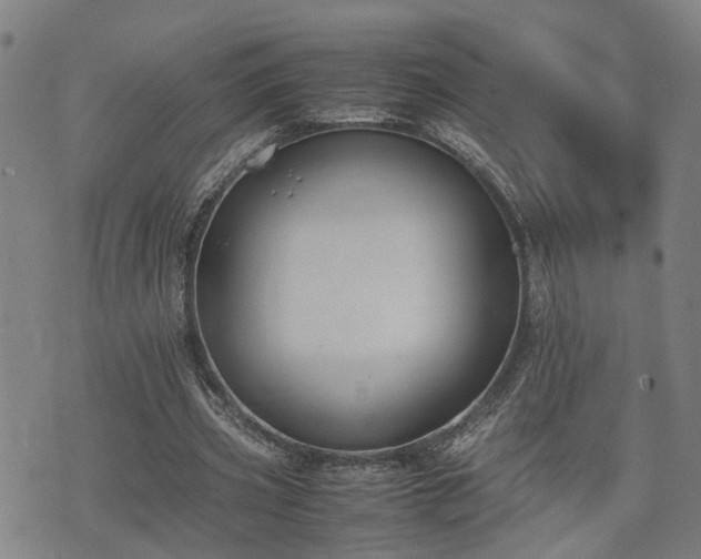 X0000074210533200609011154