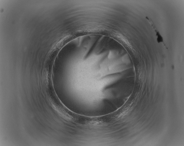 X0000074210542200609011154
