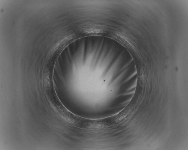 X0000074210547200609011154