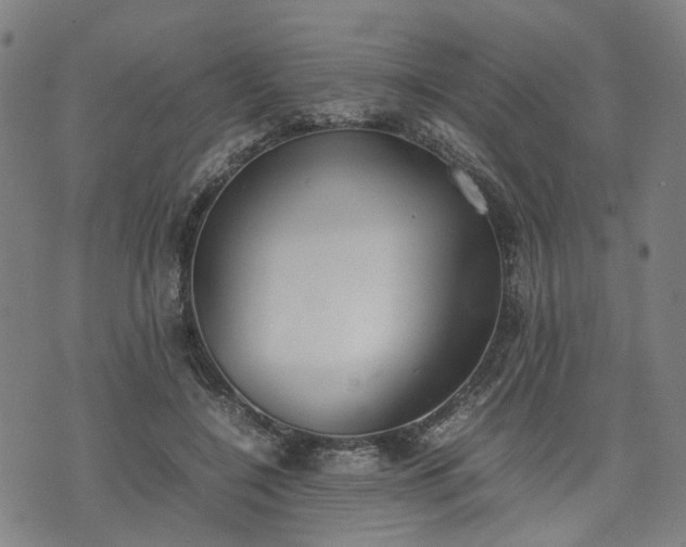 X0000074210548200609011154