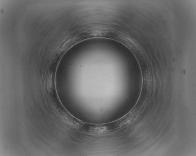 X0000074210554200609011154