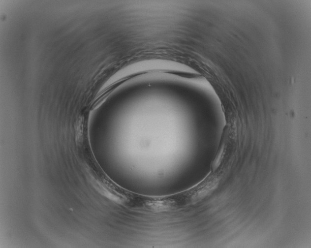 X0000074210558200609011154
