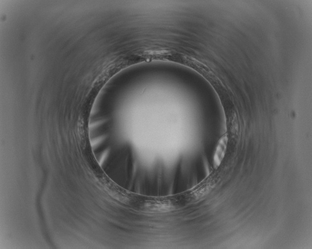 X0000074210559200609011154