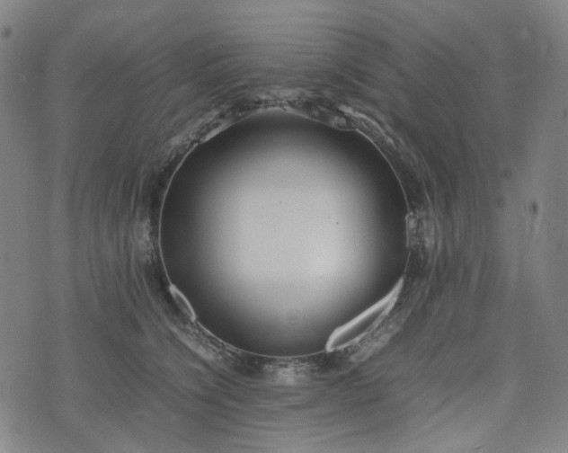 X0000074210564200609011154