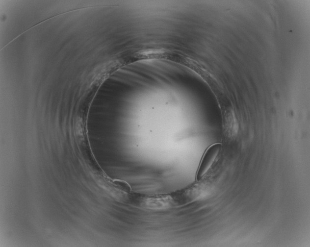X0000074210571200609011154