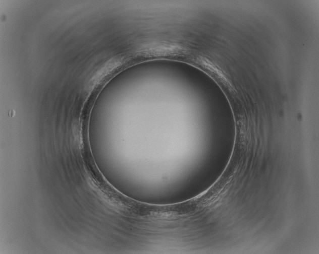 X0000074210582200609011154