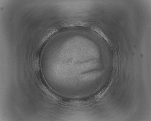 X0000074210585200609011154