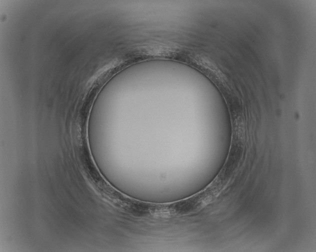 X0000074210587200609011154