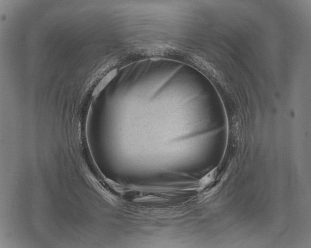 X0000074210589200609011154
