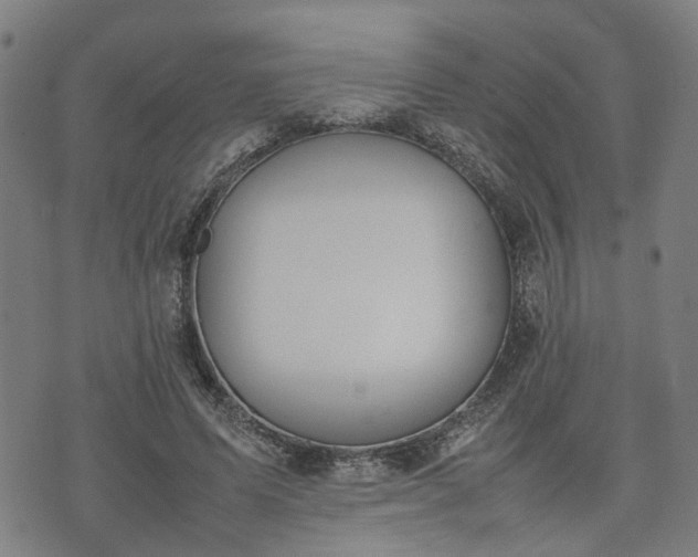 X0000074210591200609011154