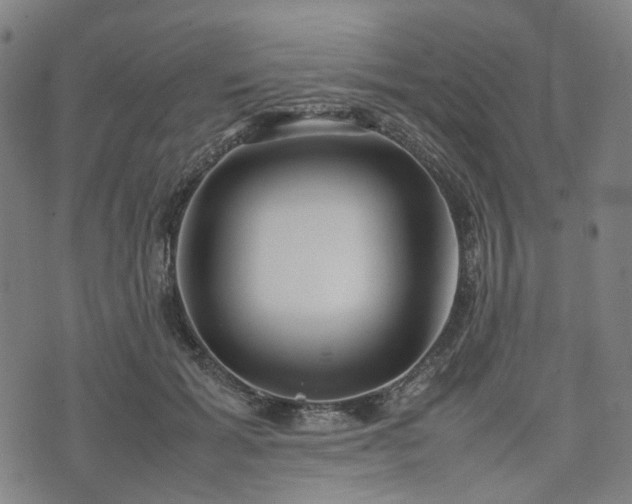 X0000074210605200609011153
