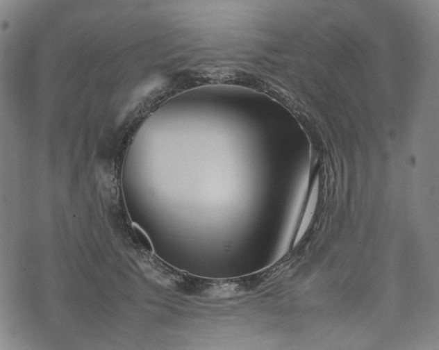 X0000074210609200609011153