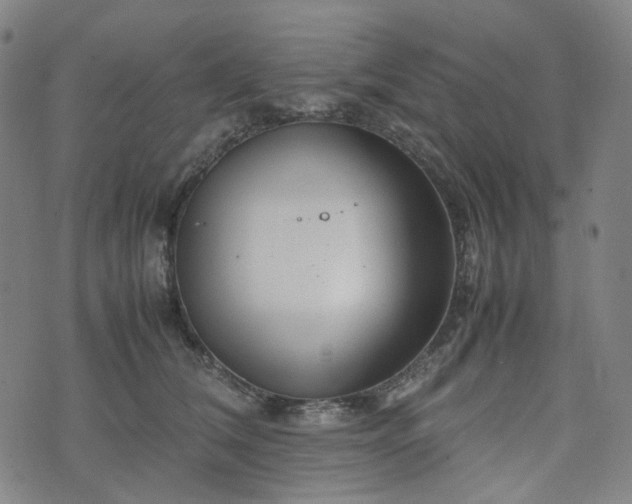 X0000074210612200609011153
