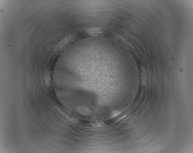 X0000074210618200609011153
