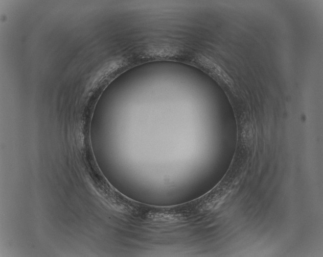 X0000074210635200609011152
