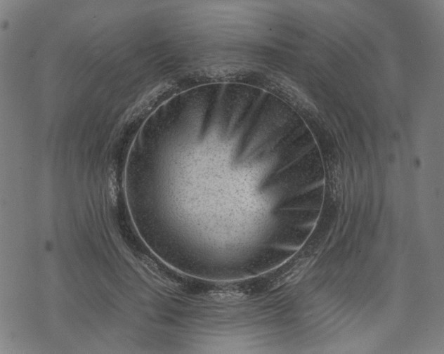 X0000074210644200609011152