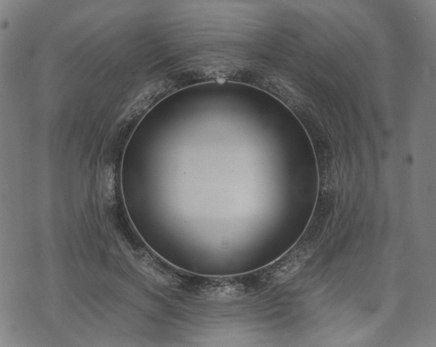 X0000074210646200609011153