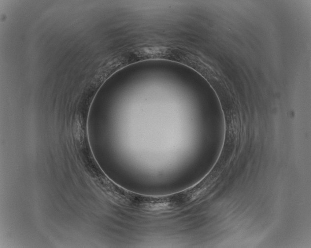 X0000074210651200609011153