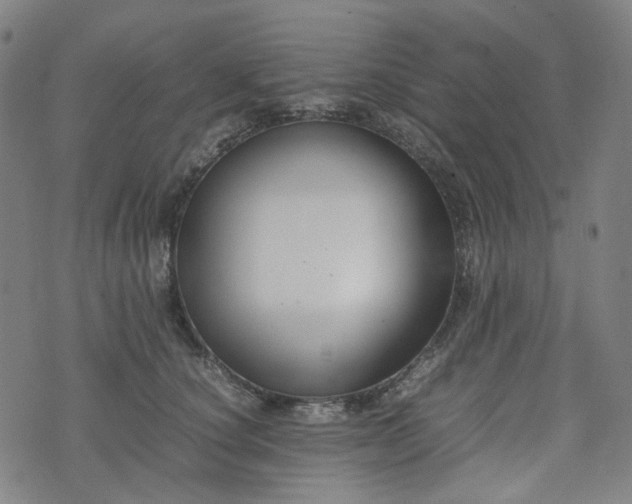 X0000074210660200609011153