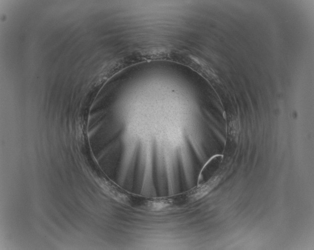 X0000074210662200609011153