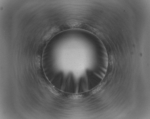 X0000074210664200609011153