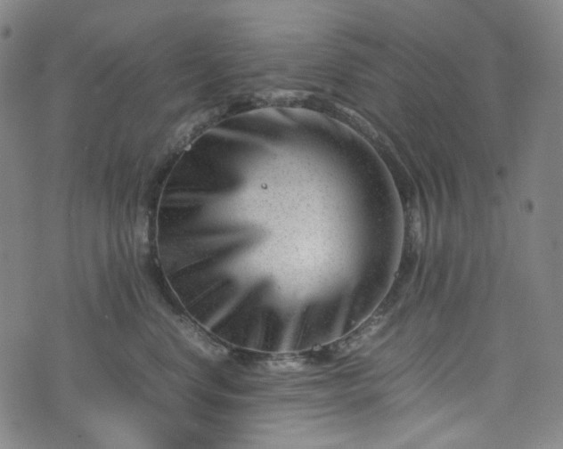 X0000074210668200609011153