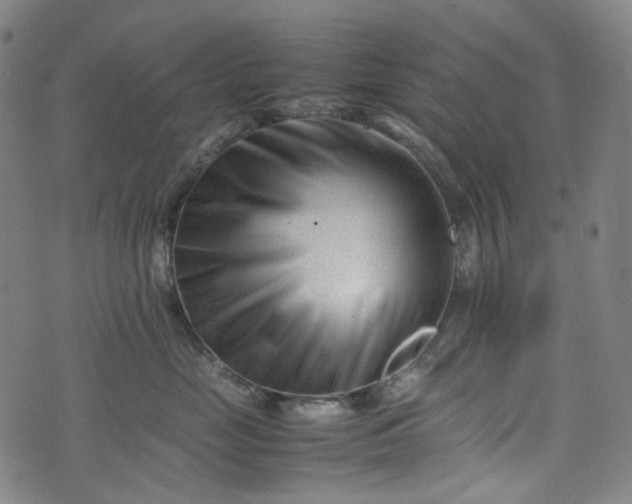 X0000074210669200609011153