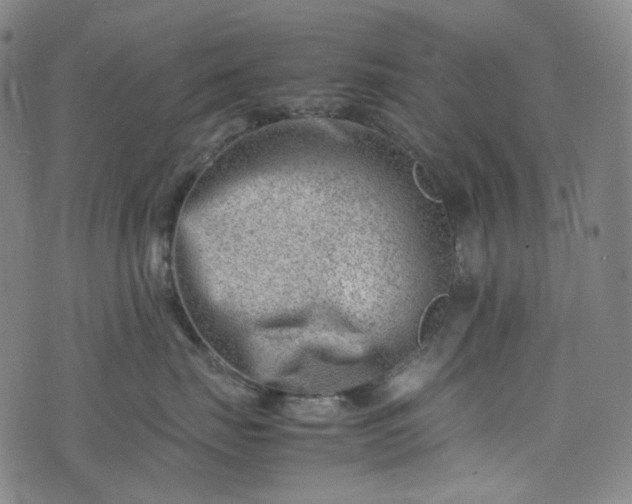X0000074210671200609011153