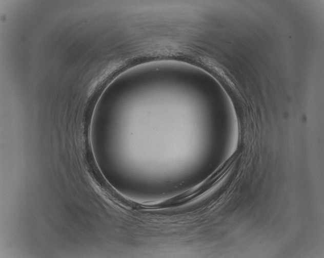 X0000074210677200609011152