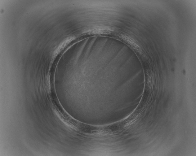 X0000074210678200609011152