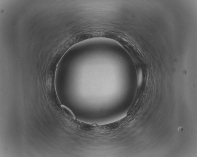 X0000074210697200609011152