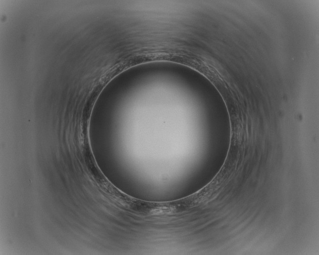 X0000074210700200609011152