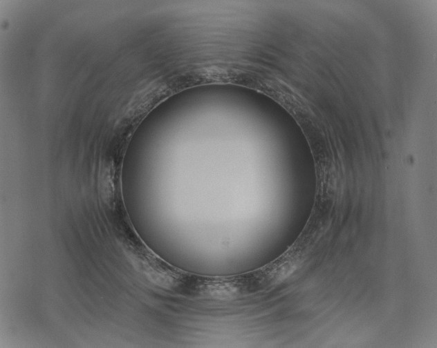 X0000074210702200609011152